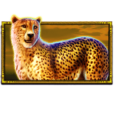 Safari King slot symbol
